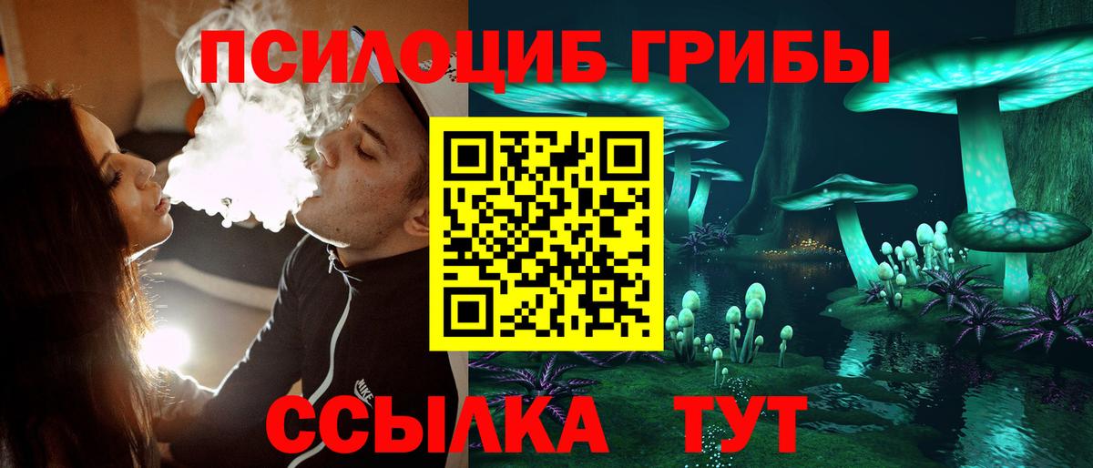 Ртищево  Псилоцибиновые грибы ЛСД  Вход с VPN 